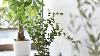 『土地勘なし 顧客０ 独立は自分に負けない気持ちが大切』