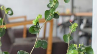 弊社事業内容について